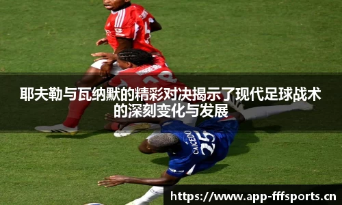 fff体育官方网站