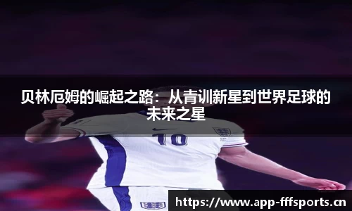 fff体育官方网站